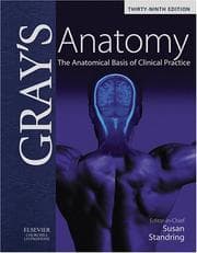 Tapa de Gray's Anatomy