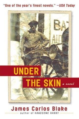 Tapa de Under the Skin