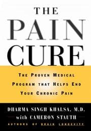 Tapa de The pain cure
