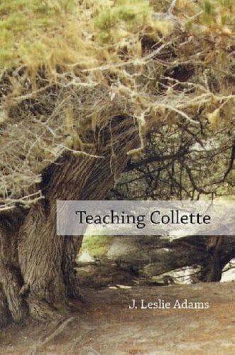 Tapa de Teaching Collette