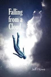 Tapa de Falling from a Cloud