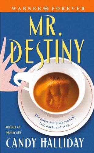 Tapa de Mr. Destiny (Warner Forever)