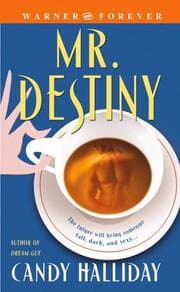 Tapa de Mr. Destiny (Warner Forever)