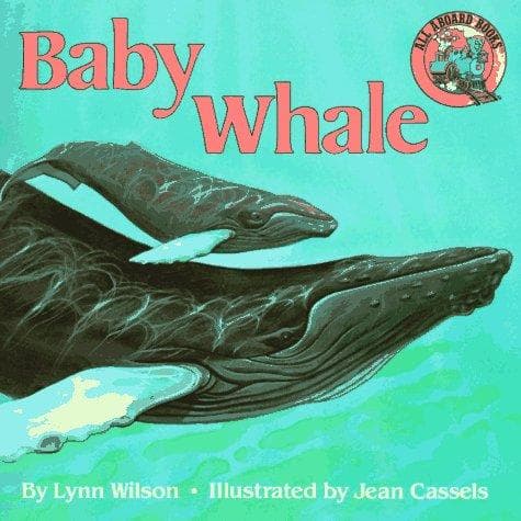 Tapa de Baby whale