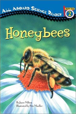 Tapa de Honeybees