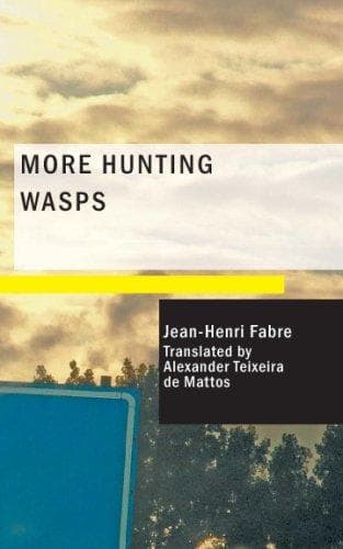 Tapa de More Hunting Wasps