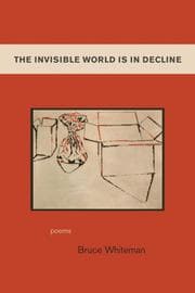 Tapa de The Invisible World Is in Decline