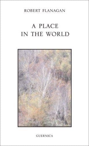 Tapa de A Place in the World