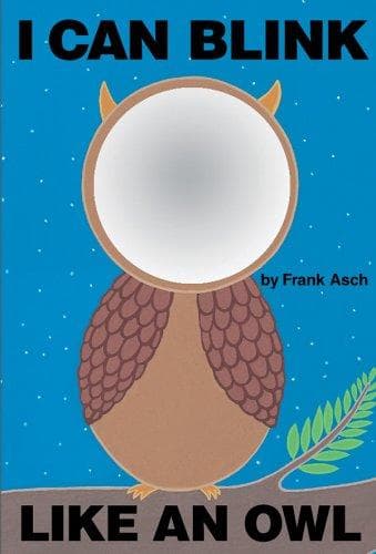 Tapa de I Can Blink Like an Owl