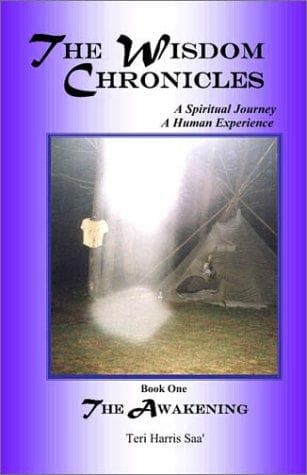 Tapa de The Wisdom Chronicles