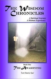 Tapa de The Wisdom Chronicles