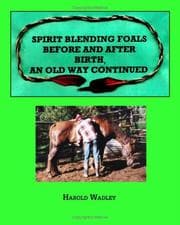 Tapa de Spirit Blending Foals Before and After Birth, An Old Way Continued