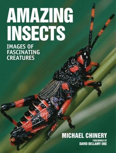 Tapa de Amazing Insects