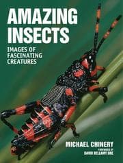 Tapa de Amazing Insects