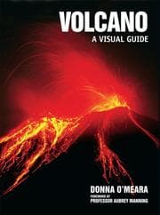 Tapa de Volcano