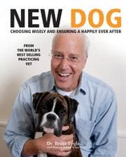 Tapa de New Dog