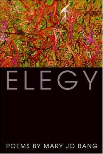 Tapa de Elegy