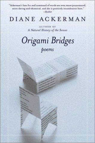 Tapa de Origami Bridges
