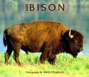 Tapa de Bison