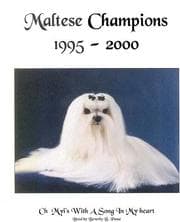 Tapa de Maltese Champions, 1995-2000