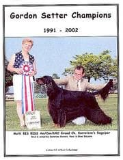 Tapa de Gordon Setter Champions, 1991-2002