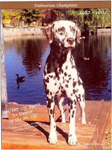 Tapa de Dalmatian Champions, 1987-2002
