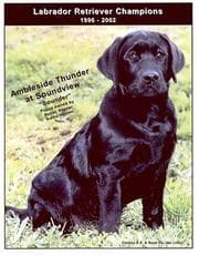 Tapa de Labrador Retriever Champions, 1996-2002