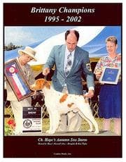 Tapa de Brittany Champions, 1995-2002