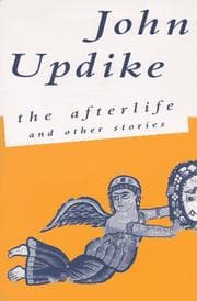 Tapa de The Afterlife