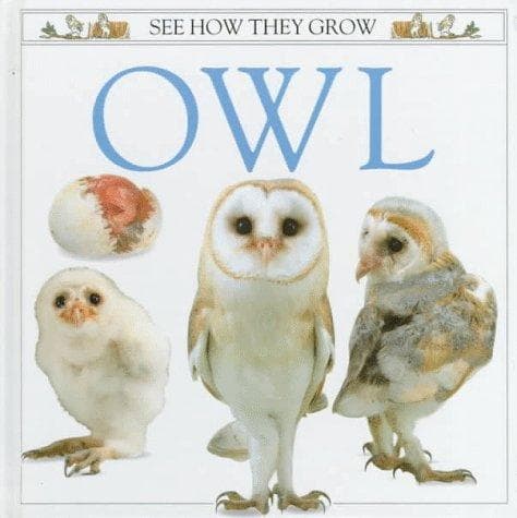 Tapa de See How They Grow