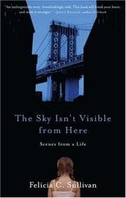 Tapa de The Sky Isn't Visible from Here