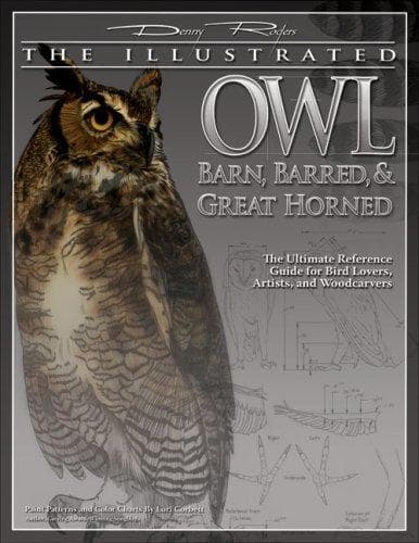 Tapa de The illustrated owl