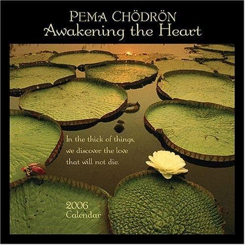 Tapa de Pema Chodron