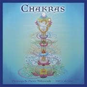 Tapa de Chakras 2007 Calendar
