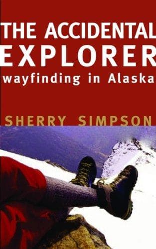 Tapa de The accidental explorer