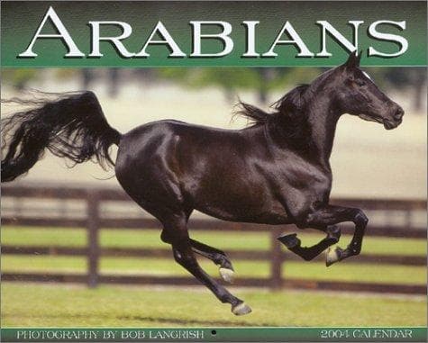 Tapa de Arabians 2004 Calendar