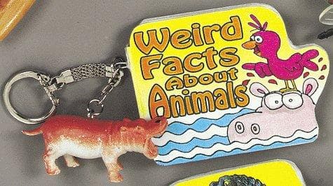 Tapa de Weird Facts About Animals