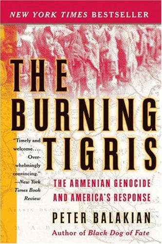 Tapa de The Burning Tigris