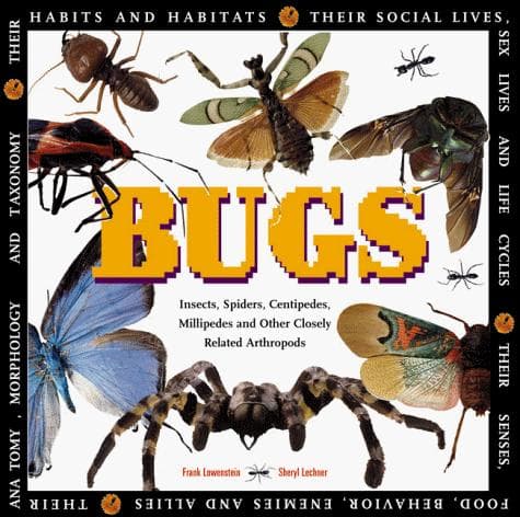 Tapa de Bugs