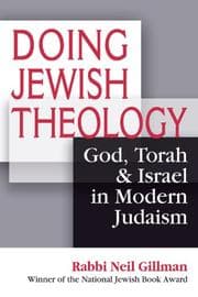 Tapa de Doing Jewish Theology