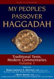 Tapa de My people's Passover Haggadah
