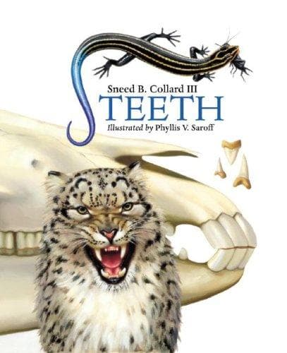 Tapa de Teeth