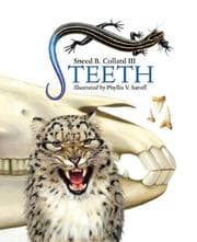 Tapa de Teeth