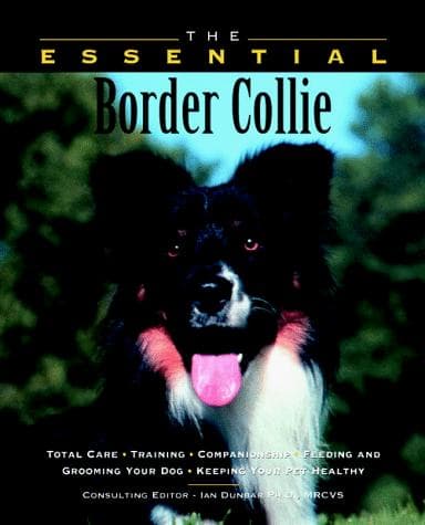 Tapa de The Essential Border Collie