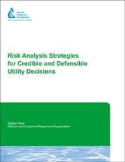 Tapa de Risk Analysis Strategies for Credible and Defensible Utility Decisions