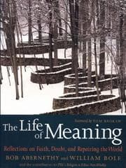 Tapa de The life of meaning