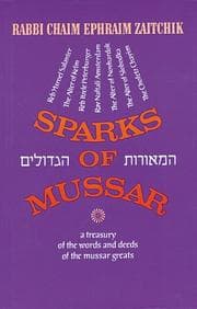 Tapa de Sparks of Mussar