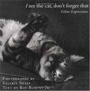 Tapa de I Am the Cat, Don't Forget That
