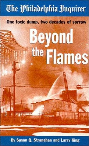 Tapa de Beyond the Flames
