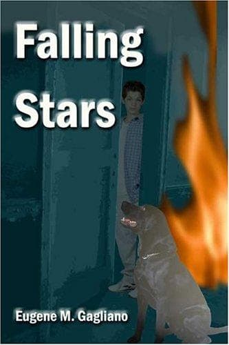 Tapa de Falling Stars